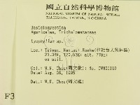 登錄號:F0003722藏品圖，第2張
