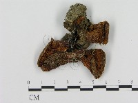 登錄號:F0003722藏品圖，第3張