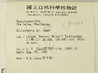 登錄號:F0003723藏品圖，第2張