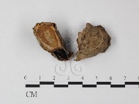 登錄號:F0003723藏品圖，第3張