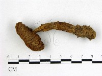 登錄號:F0003727藏品圖，第3張