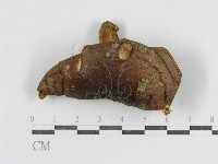 登錄號:F0003728藏品圖，第1張