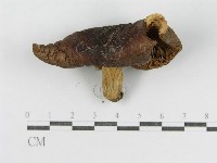 登錄號:F0003728藏品圖，第4張