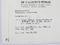 乳菇屬藏品圖，第2張