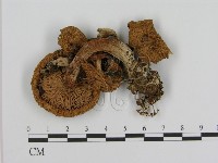 登錄號:F0003733藏品圖，第3張