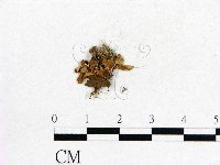 登錄號:F0003735藏品圖，第3張