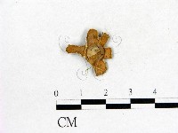 登錄號:F0003736藏品圖，第1張