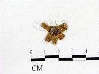 登錄號:F0003736藏品圖，第3張