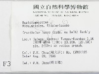 登錄號:F0003737藏品圖，第2張