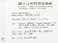 登錄號:F0003738藏品圖，第2張