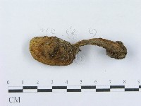 登錄號:F0003738藏品圖，第3張