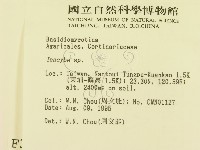 登錄號:F0003739藏品圖，第2張