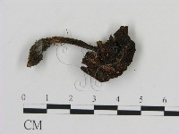 登錄號:F0003739藏品圖，第3張