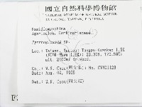 登錄號:F0003740藏品圖，第2張