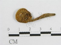 登錄號:F0003742藏品圖，第1張