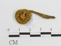 登錄號:F0003742藏品圖，第3張