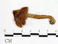 登錄號:F0003743藏品圖，第3張