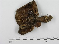 登錄號:F0003744藏品圖，第1張