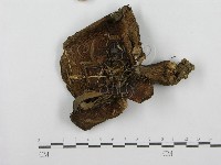 登錄號:F0003744藏品圖，第3張