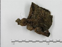 登錄號:F0003744藏品圖，第4張