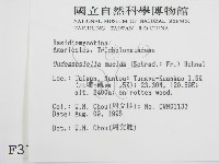 登錄號:F0003745藏品圖，第2張