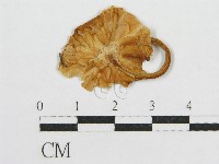 登錄號:F0003745藏品圖，第1張