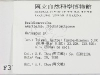 小皮傘屬藏品圖，第2張