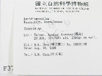 紅菇屬藏品圖，第2張