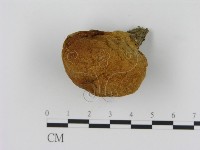 登錄號:F0003749藏品圖，第1張