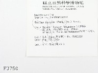 登錄號:F0003750藏品圖，第2張