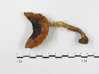 登錄號:F0003751藏品圖，第1張