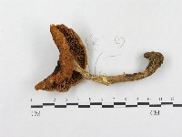 登錄號:F0003751藏品圖，第3張