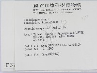 登錄號:F0003752藏品圖，第2張