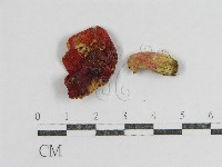 登錄號:F0003752藏品圖，第1張