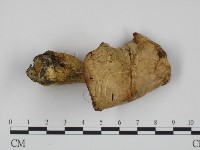 登錄號:F0003753藏品圖，第1張