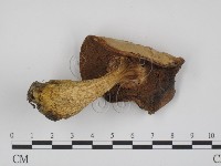 登錄號:F0003753藏品圖，第3張