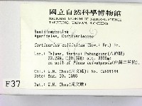 登錄號:F0003756藏品圖，第2張