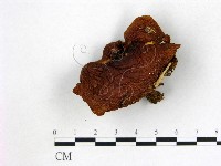 登錄號:F0003756藏品圖，第1張