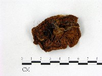 登錄號:F0003756藏品圖，第3張