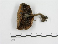 登錄號:F0003757藏品圖，第3張