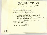 登錄號:F0003759藏品圖，第2張