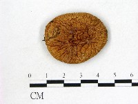 登錄號:F0003759藏品圖，第1張
