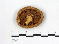 登錄號:F0003759藏品圖，第3張