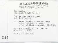 登錄號:F0003760藏品圖，第2張