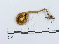 登錄號:F0003760藏品圖，第3張