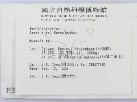紅菇屬藏品圖，第2張