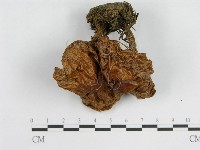 登錄號:F0003762藏品圖，第4張