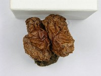 登錄號:F0003762藏品圖，第6張
