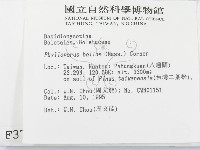 登錄號:F0003763藏品圖，第2張