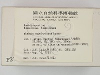 登錄號:F0003764藏品圖，第2張